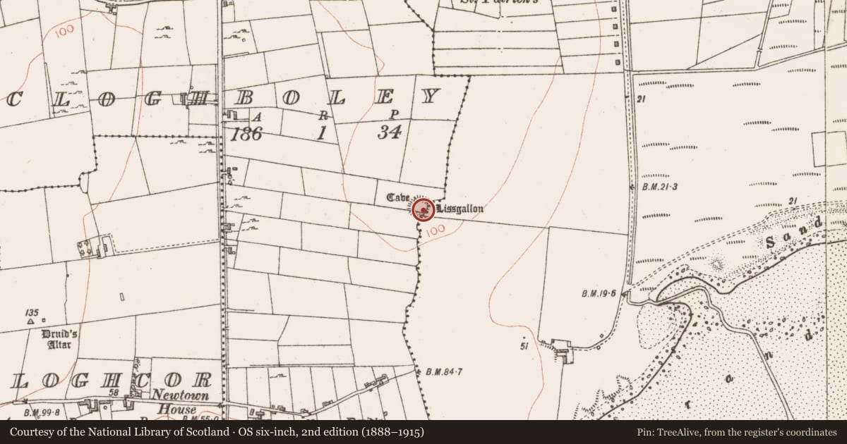 Ordnance Survey six-inch map, 2nd edition (1888–1915) covering the location of Ringfort - cashel, Cloghboley, County Sligo, with a pin at the register's coordinates
