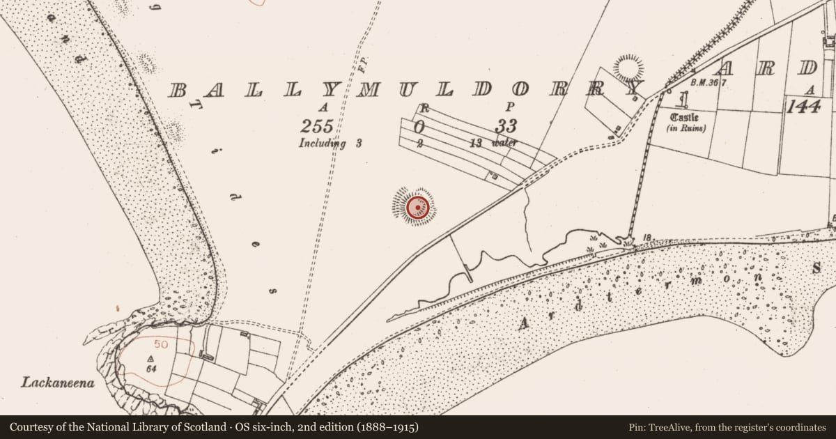 Ordnance Survey six-inch map, 2nd edition (1888–1915) covering the location of Ringfort - rath, Ballymuldorry, County Sligo, with a pin at the register's coordinates