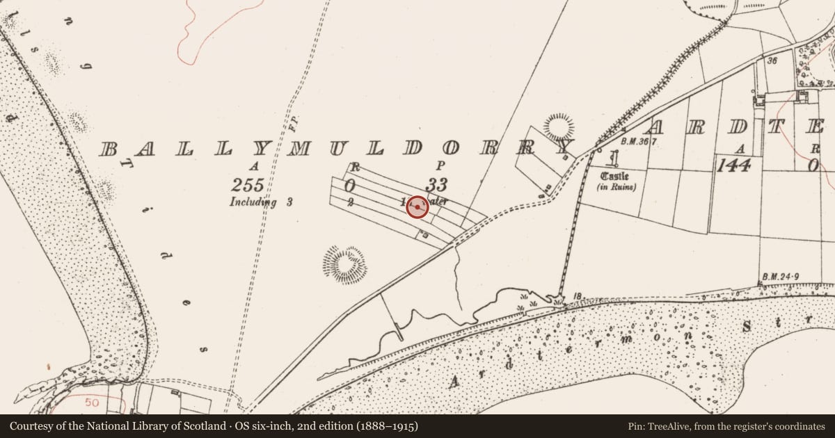 Ordnance Survey six-inch map, 2nd edition (1888–1915) covering the location of Boundary stone, Ballymuldorry, County Sligo, with a pin at the register's coordinates