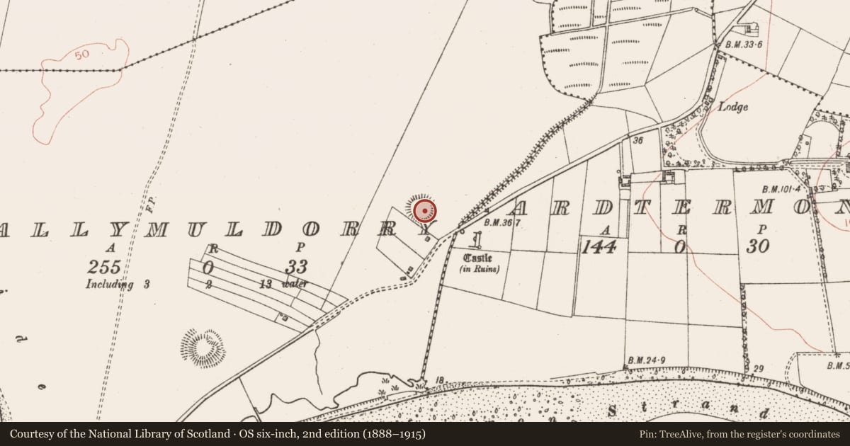 Ordnance Survey six-inch map, 2nd edition (1888–1915) covering the location of Ringfort - rath, Ballymuldorry, County Sligo, with a pin at the register's coordinates