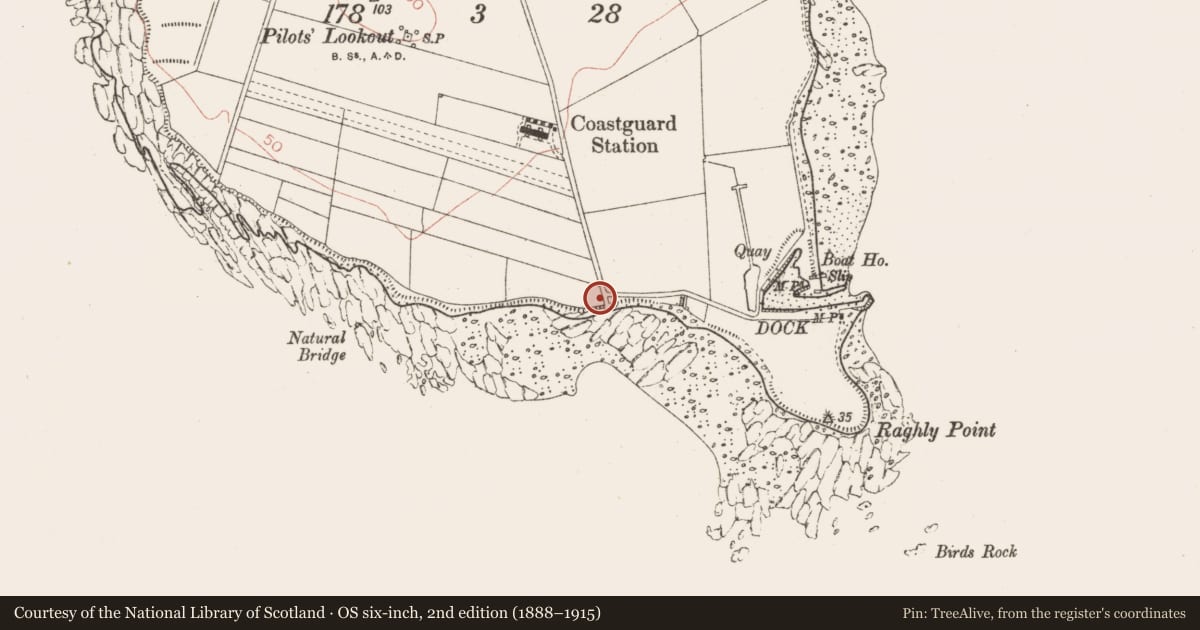Ordnance Survey six-inch map, 2nd edition (1888–1915) covering the location of Ringfort - rath, Raghly, County Sligo, with a pin at the register's coordinates