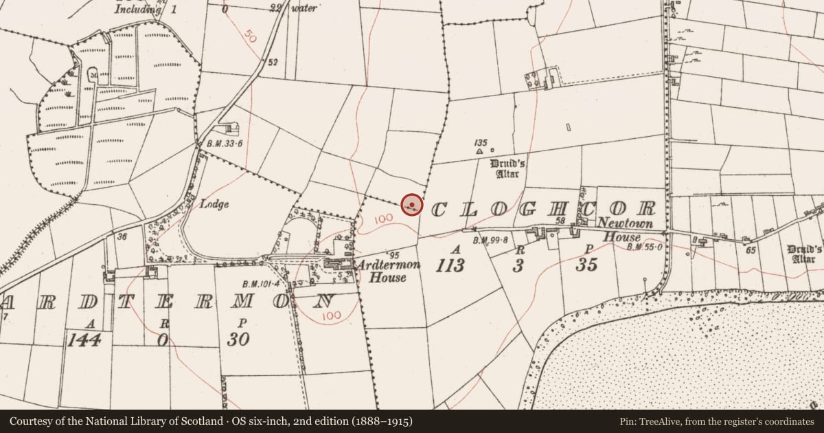 Ordnance Survey six-inch map, 2nd edition (1888–1915) covering the location of Standing stone, Kilmacannon, County Sligo, with a pin at the register's coordinates