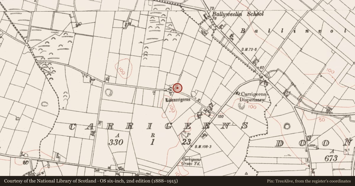 Ordnance Survey six-inch map, 2nd edition (1888–1915) covering the location of Barrow - ring-barrow, Carrigeens, County Sligo, with a pin at the register's coordinates