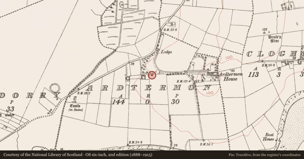 Ordnance Survey six-inch map, 2nd edition (1888–1915) covering the location of Bullaun stone, Ardtermon, County Sligo, with a pin at the register's coordinates