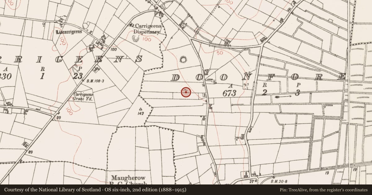 Ordnance Survey six-inch map, 2nd edition (1888–1915) covering the location of Megalithic tomb - unclassified, Doonfore, County Sligo, with a pin at the register's coordinates