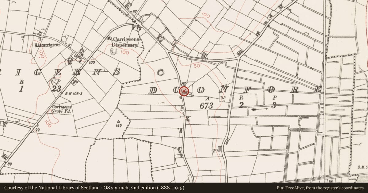Ordnance Survey six-inch map, 2nd edition (1888–1915) covering the location of Bullaun stone (present location), Doonfore, County Sligo, with a pin at the register's coordinates