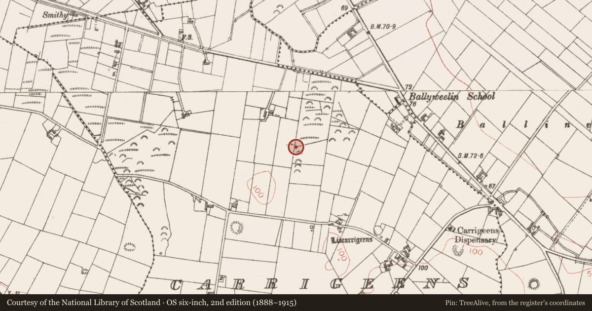 Ordnance Survey six-inch map, 2nd edition (1888–1915) covering the location of Anomalous stone group, Carrigeens, County Sligo, with a pin at the register's coordinates