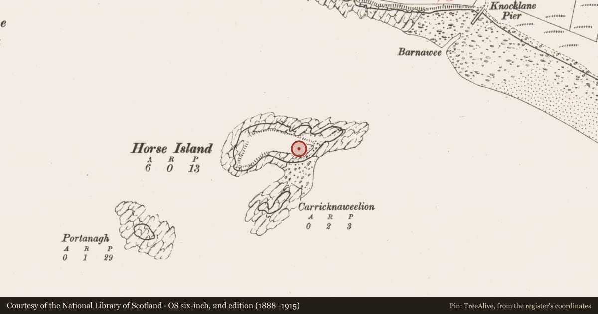 Ordnance Survey six-inch map, 2nd edition (1888–1915) covering the location of Midden, Horse Island, County Sligo, with a pin at the register's coordinates