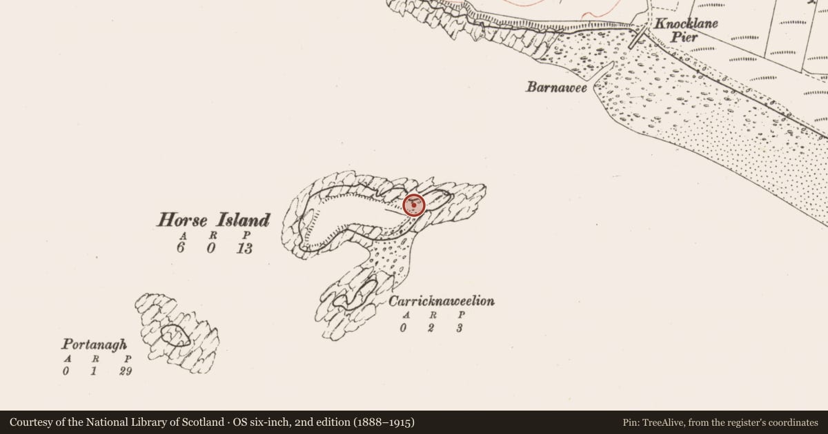 Ordnance Survey six-inch map, 2nd edition (1888–1915) covering the location of Midden, Horse Island, County Sligo, with a pin at the register's coordinates