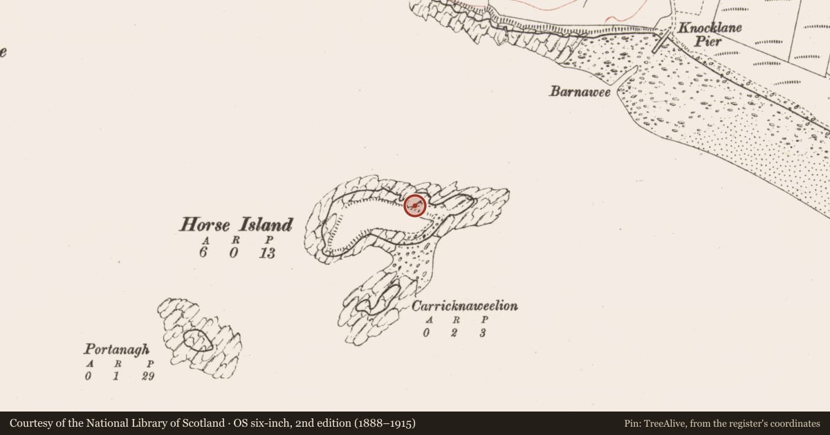 Ordnance Survey six-inch map, 2nd edition (1888–1915) covering the location of Midden, Horse Island, County Sligo, with a pin at the register's coordinates