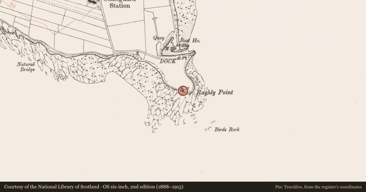 Ordnance Survey six-inch map, 2nd edition (1888–1915) covering the location of Mound, Raghly, County Sligo, with a pin at the register's coordinates