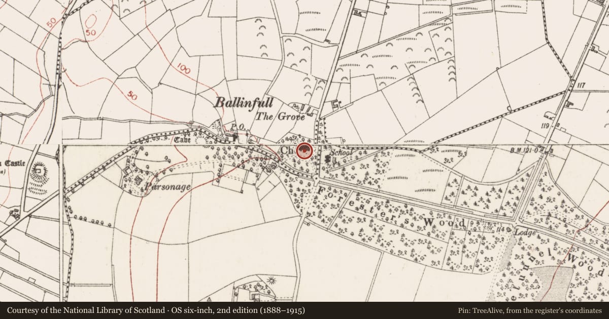 Ordnance Survey six-inch map, 2nd edition (1888–1915) covering the location of Church, Lissadill, County Sligo, with a pin at the register's coordinates