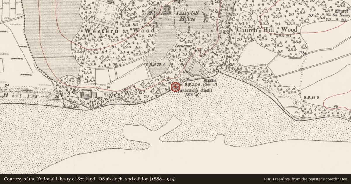 Ordnance Survey six-inch map, 2nd edition (1888–1915) covering the location of Church, Lissadill, County Sligo, with a pin at the register's coordinates