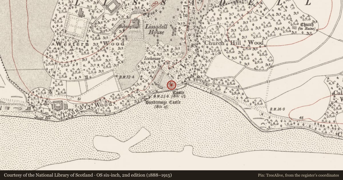 Ordnance Survey six-inch map, 2nd edition (1888–1915) covering the location of Castle - unclassified, Lissadill, County Sligo, with a pin at the register's coordinates