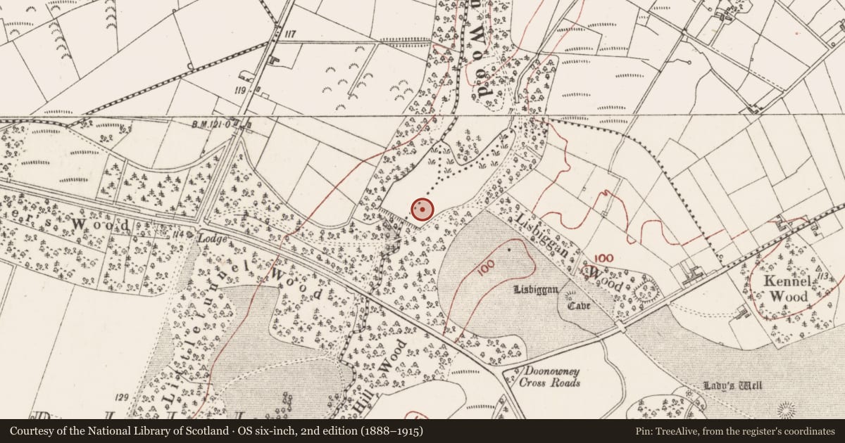 Ordnance Survey six-inch map, 2nd edition (1888–1915) covering the location of Ringfort - unclassified, Ballygilgan, County Sligo, with a pin at the register's coordinates