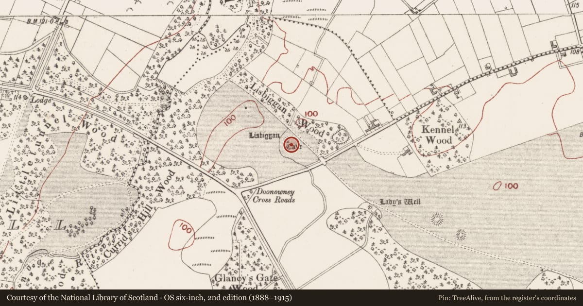 Ordnance Survey six-inch map, 2nd edition (1888–1915) covering the location of Ringfort - rath, Ballygilgan, County Sligo, with a pin at the register's coordinates