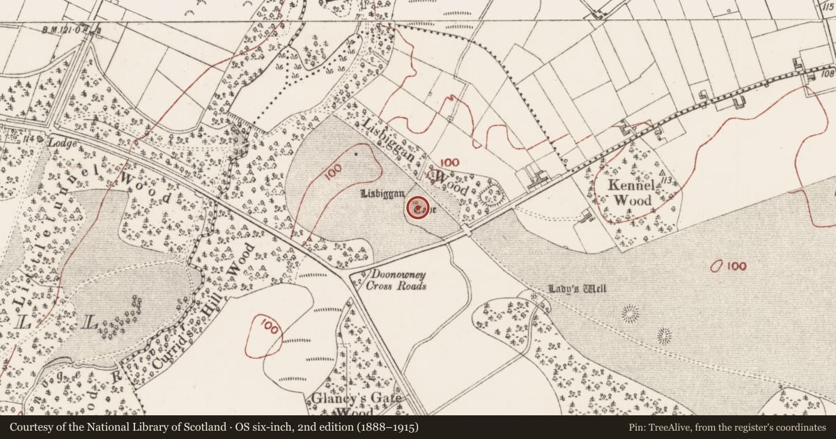 Ordnance Survey six-inch map, 2nd edition (1888–1915) covering the location of Souterrain, Ballygilgan, County Sligo, with a pin at the register's coordinates