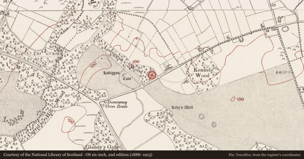 Ordnance Survey six-inch map, 2nd edition (1888–1915) covering the location of Ringfort - rath, Ballygilgan, County Sligo, with a pin at the register's coordinates