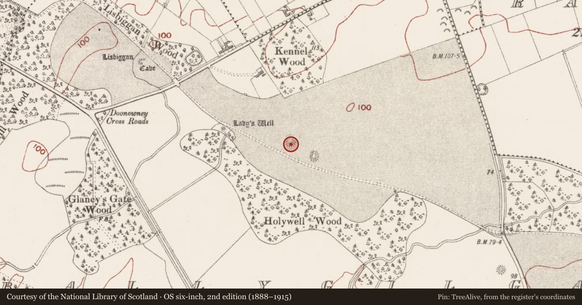 Ordnance Survey six-inch map, 2nd edition (1888–1915) covering the location of Ringfort - cashel, Ballygilgan, County Sligo, with a pin at the register's coordinates