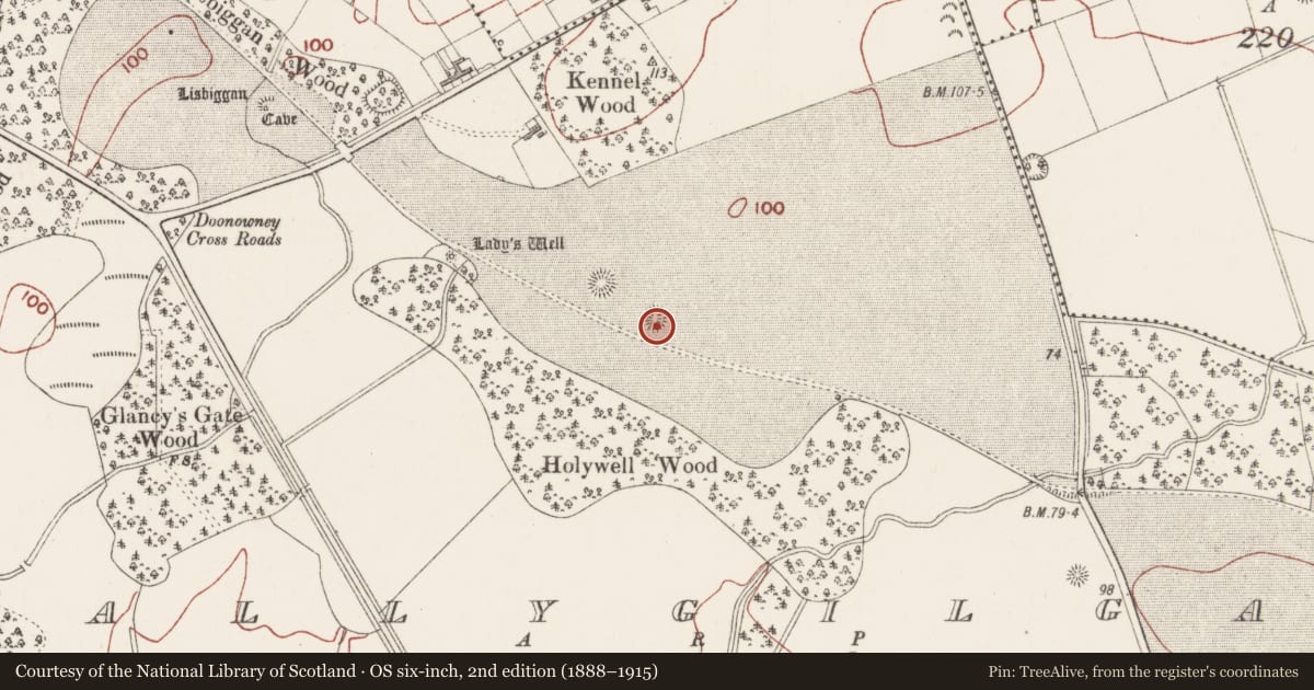 Ordnance Survey six-inch map, 2nd edition (1888–1915) covering the location of Ringfort - cashel, Ballygilgan, County Sligo, with a pin at the register's coordinates