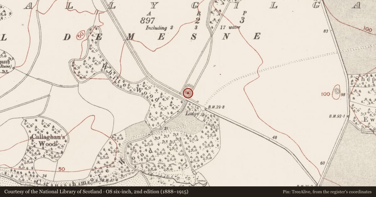 Ordnance Survey six-inch map, 2nd edition (1888–1915) covering the location of Ringfort - rath, Ballygilgan, County Sligo, with a pin at the register's coordinates