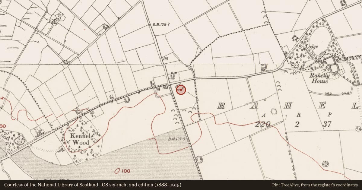 Ordnance Survey six-inch map, 2nd edition (1888–1915) covering the location of Ringfort - cashel, Doonowney, County Sligo, with a pin at the register's coordinates