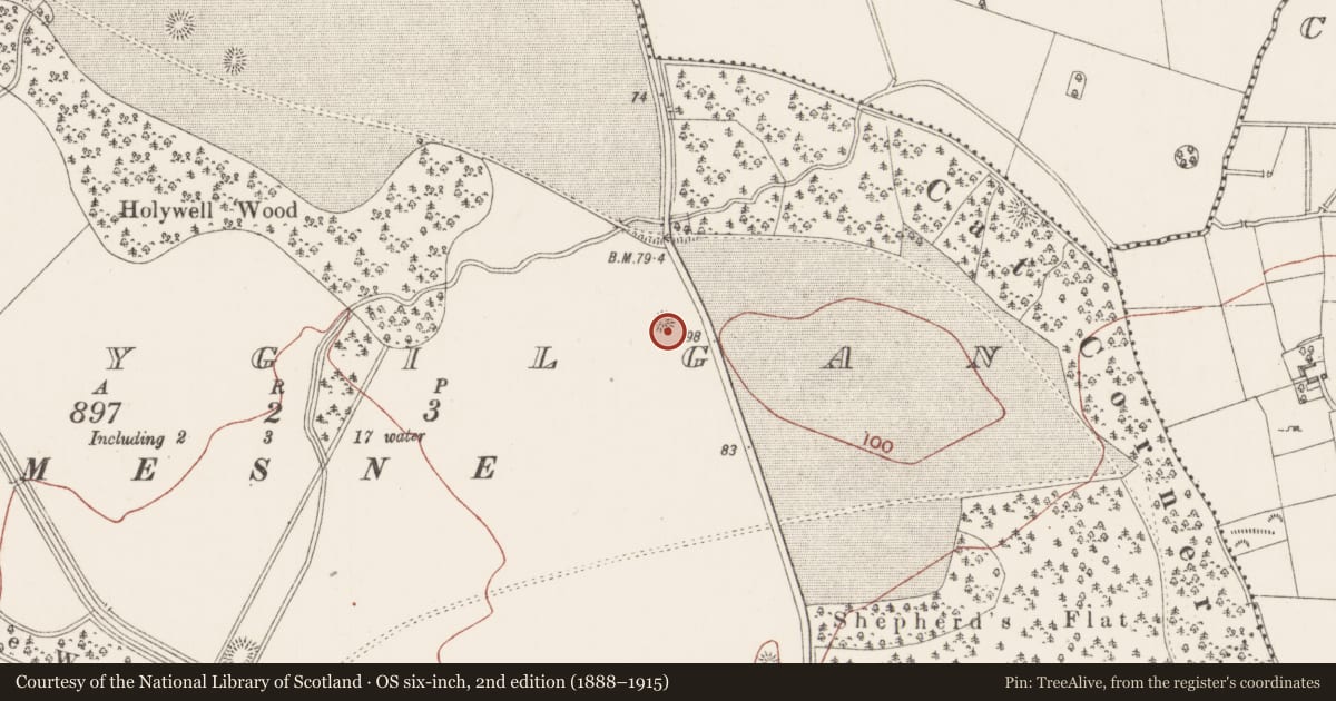 Ordnance Survey six-inch map, 2nd edition (1888–1915) covering the location of Barrow - ring-barrow, Ballygilgan, County Sligo, with a pin at the register's coordinates