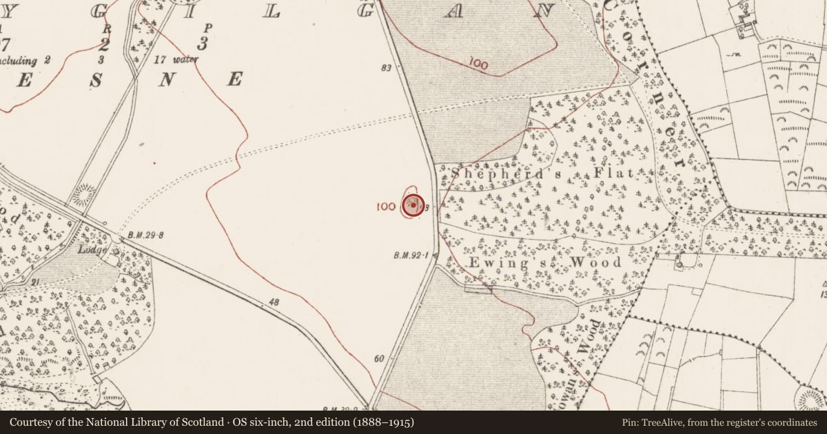 Ordnance Survey six-inch map, 2nd edition (1888–1915) covering the location of Barrow - ring-barrow, Ballygilgan, County Sligo, with a pin at the register's coordinates