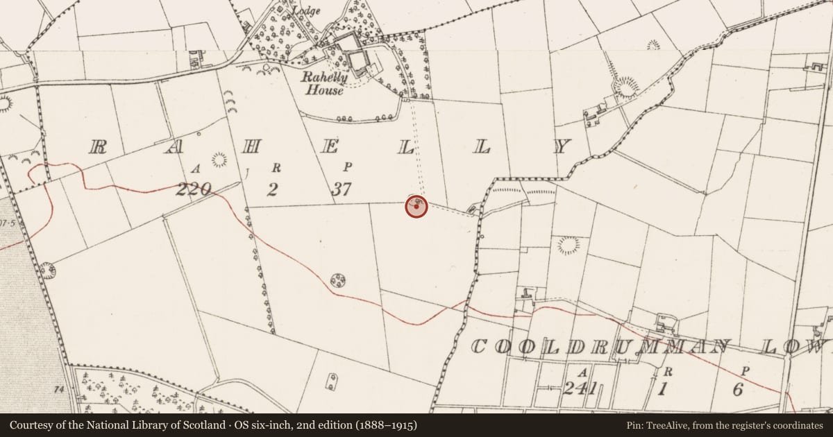 Ordnance Survey six-inch map, 2nd edition (1888–1915) covering the location of Ringfort - cashel, Rahelly, County Sligo, with a pin at the register's coordinates