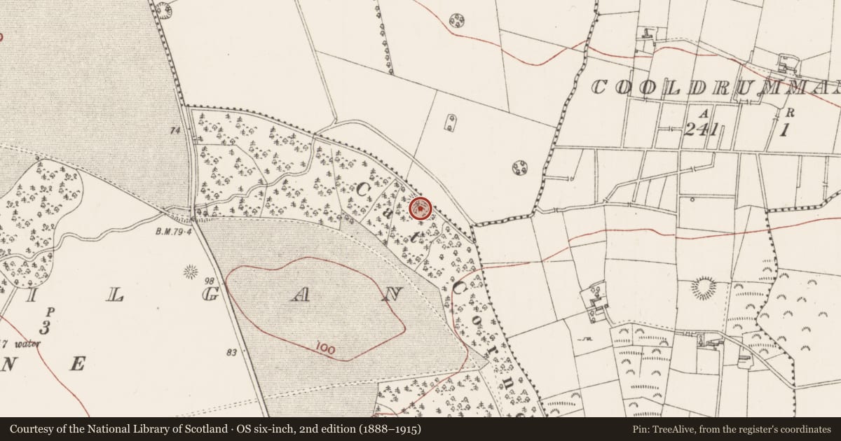 Ordnance Survey six-inch map, 2nd edition (1888–1915) covering the location of Ringfort - rath, Ballygilgan, County Sligo, with a pin at the register's coordinates