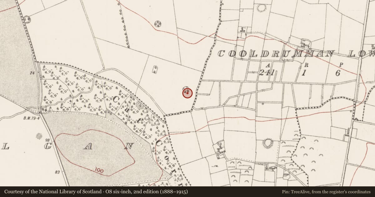 Ordnance Survey six-inch map, 2nd edition (1888–1915) covering the location of Ringfort - rath, Rahelly, County Sligo, with a pin at the register's coordinates