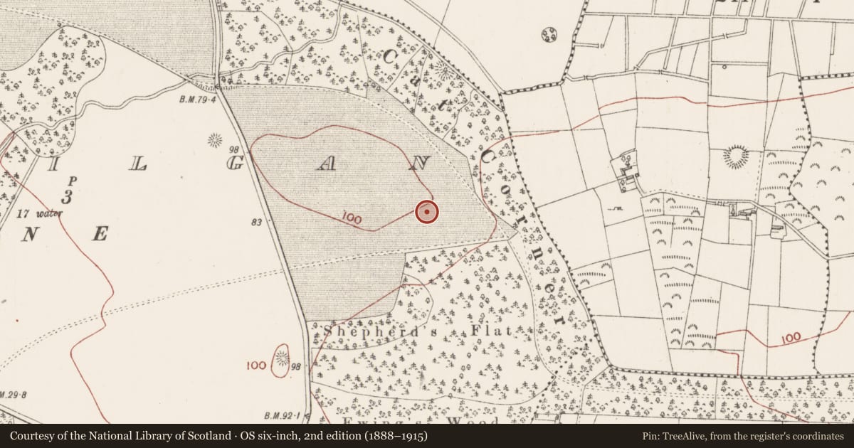 Ordnance Survey six-inch map, 2nd edition (1888–1915) covering the location of Enclosure, Ballygilgan, County Sligo, with a pin at the register's coordinates