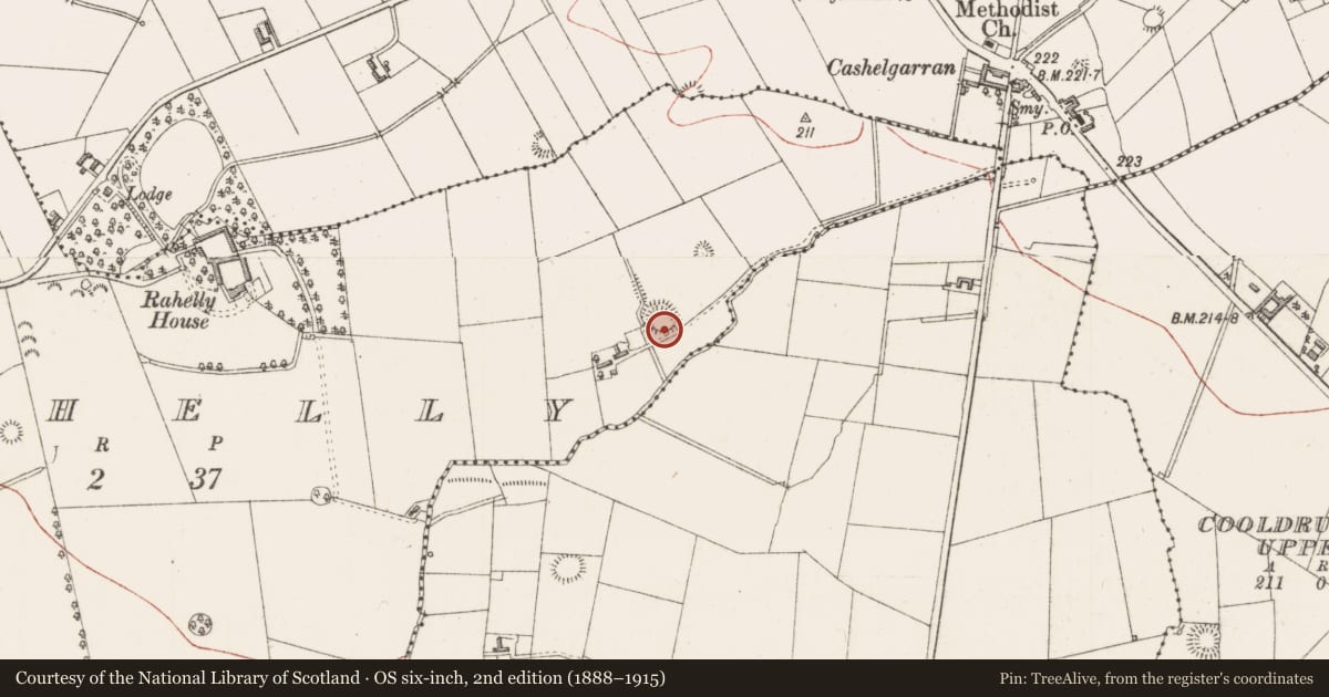 Ordnance Survey six-inch map, 2nd edition (1888–1915) covering the location of Ringfort - rath, Rahelly, County Sligo, with a pin at the register's coordinates