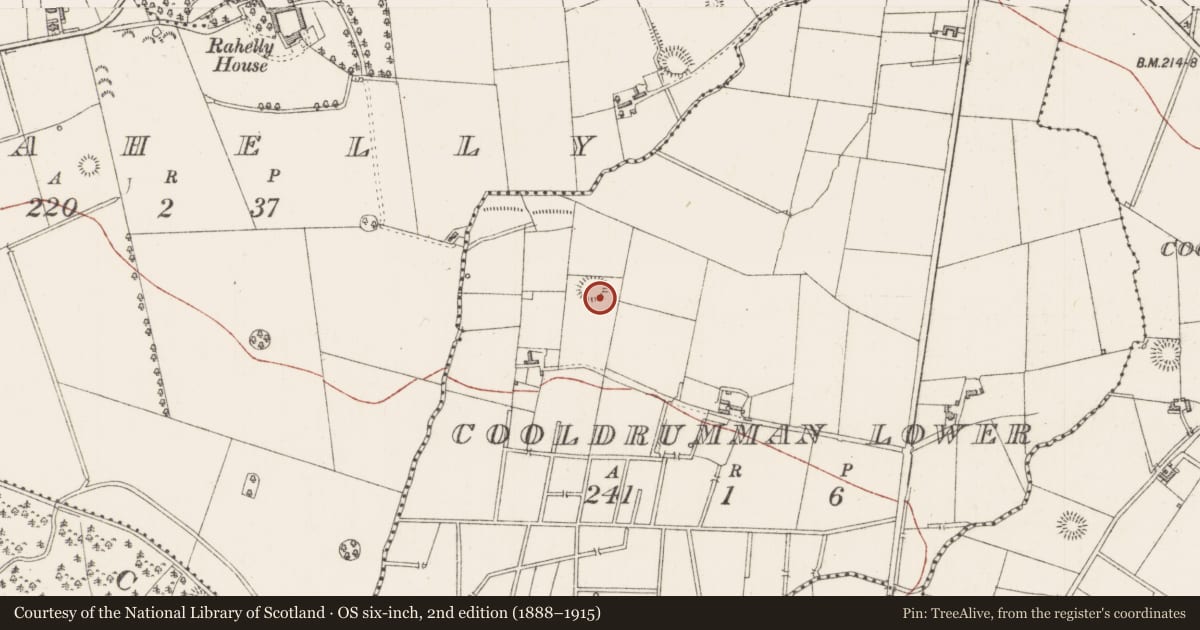 Ordnance Survey six-inch map, 2nd edition (1888–1915) covering the location of Ringfort - rath, Cooldrumman Lower, County Sligo, with a pin at the register's coordinates