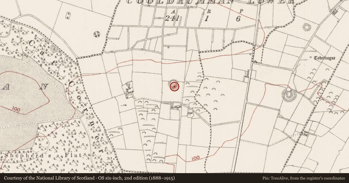 Ordnance Survey six-inch map, 2nd edition (1888–1915) covering the location of Ringfort - rath, Cooldrumman Lower, County Sligo, with a pin at the register's coordinates