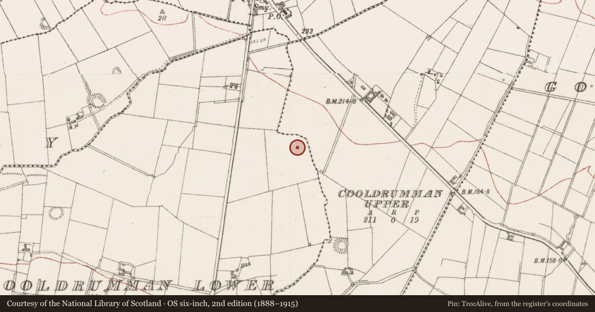 Ordnance Survey six-inch map, 2nd edition (1888–1915) covering the location of Ringfort - unclassified, Cooldrumman Lower, County Sligo, with a pin at the register's coordinates