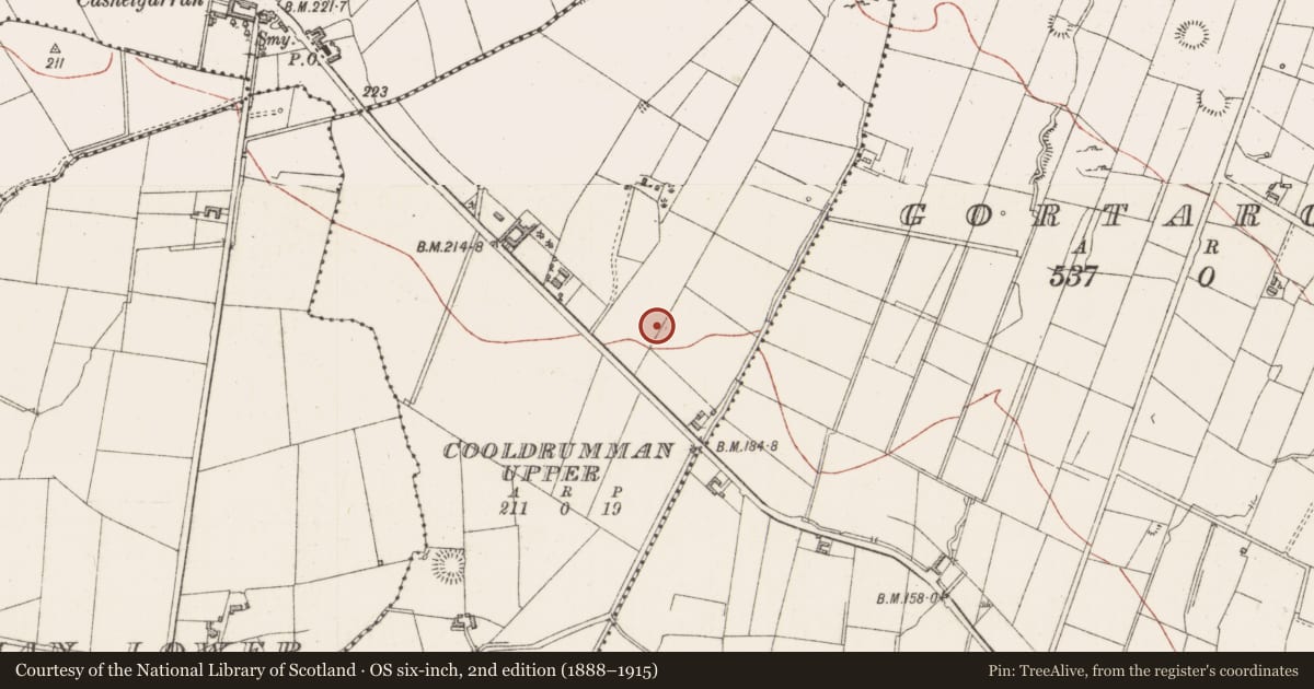 Ordnance Survey six-inch map, 2nd edition (1888–1915) covering the location of Ringfort - unclassified, Cooldrumman Upper, County Sligo, with a pin at the register's coordinates