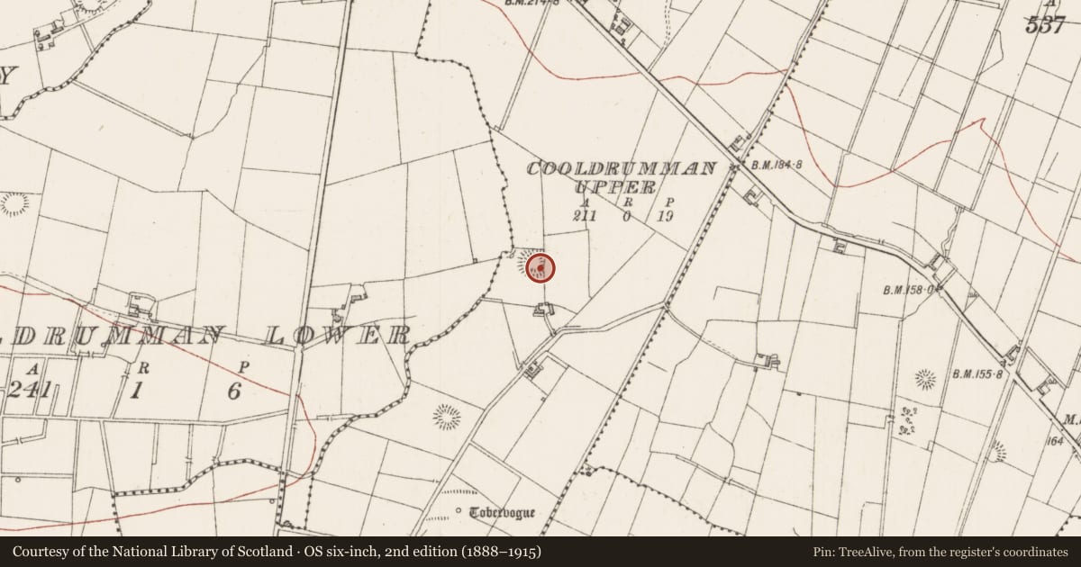 Ordnance Survey six-inch map, 2nd edition (1888–1915) covering the location of Ringfort - rath, Cooldrumman Upper, County Sligo, with a pin at the register's coordinates
