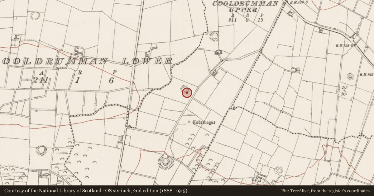 Ordnance Survey six-inch map, 2nd edition (1888–1915) covering the location of Ringfort - rath, Cooldrumman Upper, County Sligo, with a pin at the register's coordinates