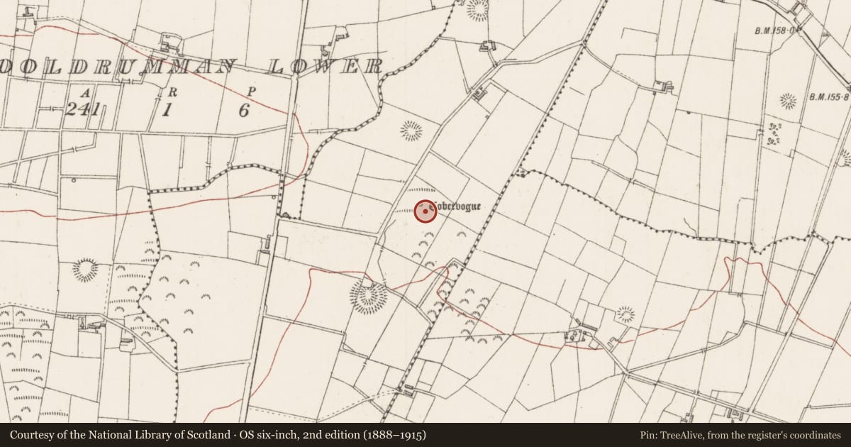 Ordnance Survey six-inch map, 2nd edition (1888–1915) covering the location of Ritual site - holy well, Cooldrumman Upper, County Sligo, with a pin at the register's coordinates