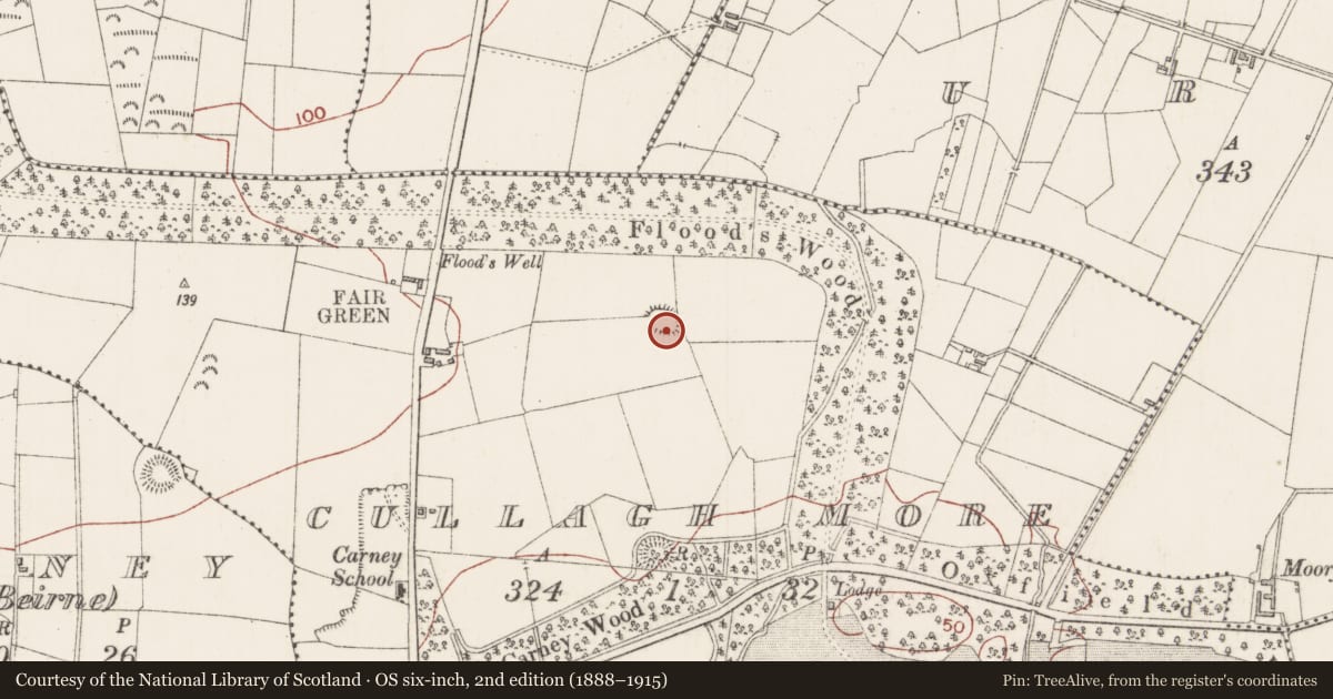 Ordnance Survey six-inch map, 2nd edition (1888–1915) covering the location of Ringfort - rath, Cullagh More, County Sligo, with a pin at the register's coordinates