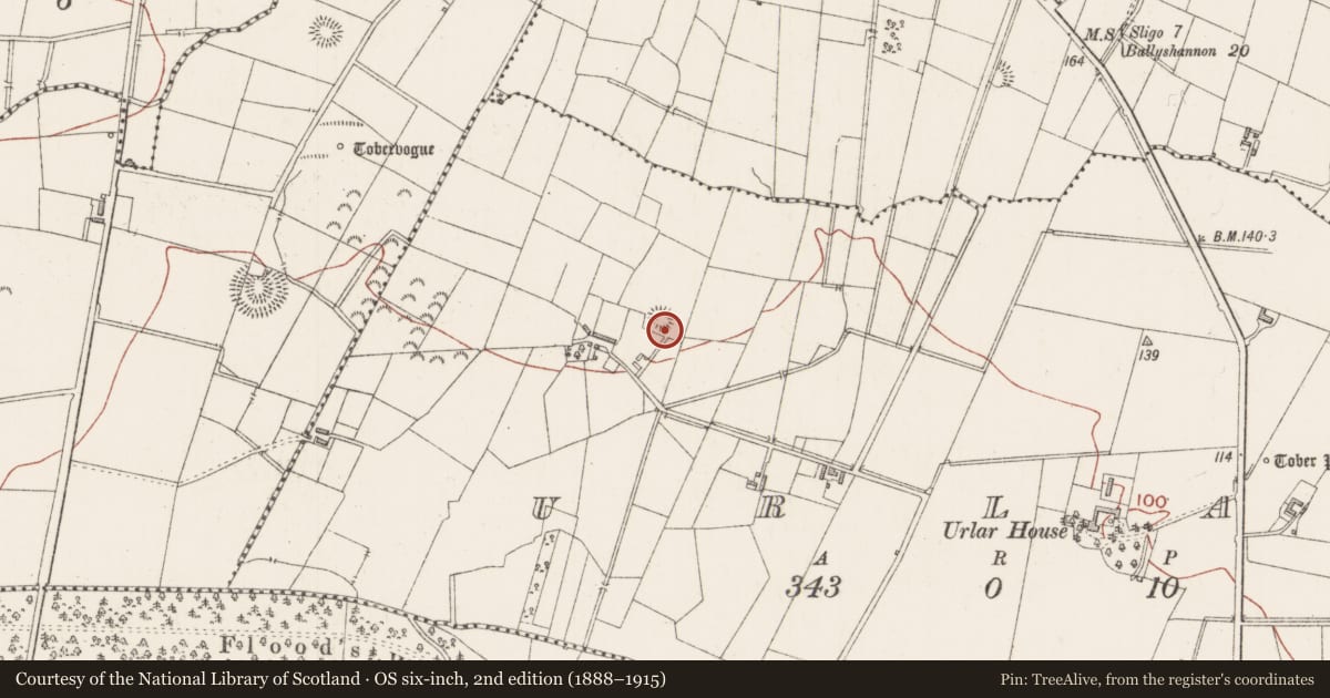 Ordnance Survey six-inch map, 2nd edition (1888–1915) covering the location of Ringfort - rath, Urlar, County Sligo, with a pin at the register's coordinates