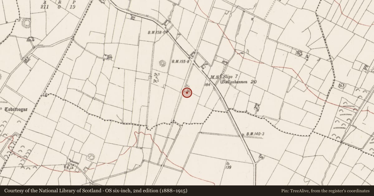 Ordnance Survey six-inch map, 2nd edition (1888–1915) covering the location of Ringfort - rath, Gortarowey, County Sligo, with a pin at the register's coordinates