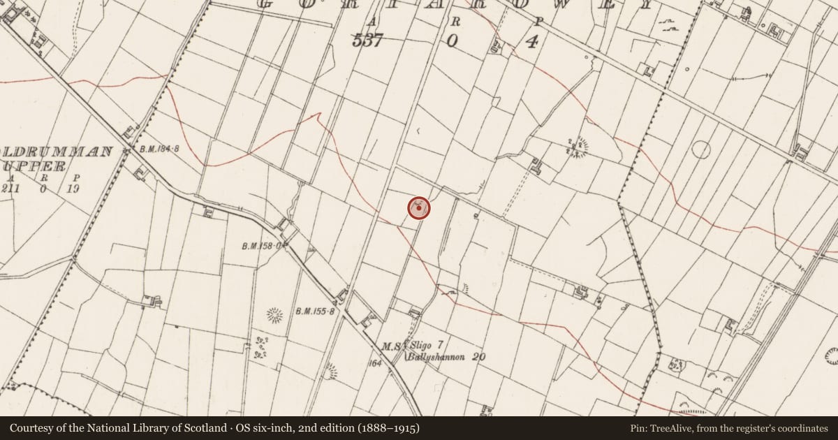 Ordnance Survey six-inch map, 2nd edition (1888–1915) covering the location of Ringfort - unclassified, Gortarowey, County Sligo, with a pin at the register's coordinates