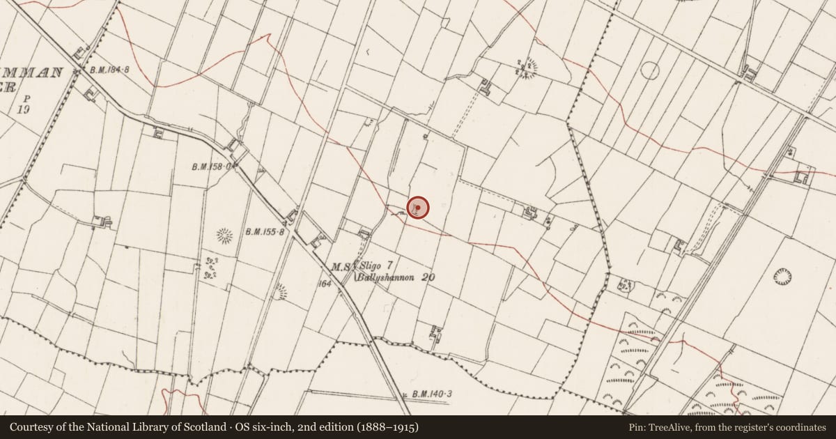 Ordnance Survey six-inch map, 2nd edition (1888–1915) covering the location of Ringfort - cashel, Gortarowey, County Sligo, with a pin at the register's coordinates