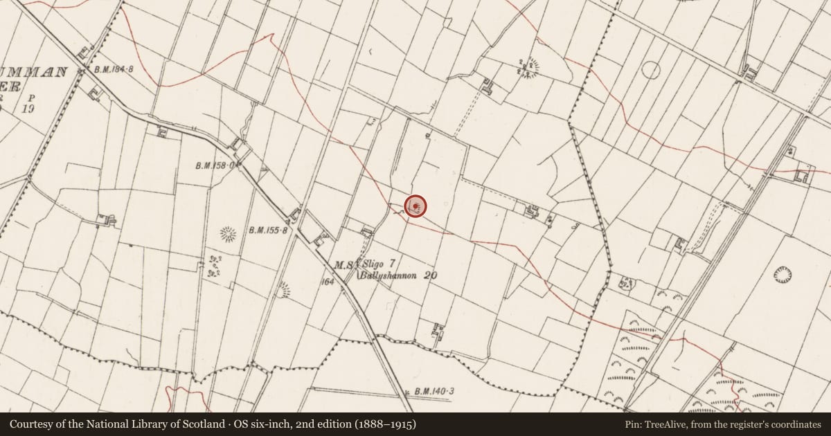Ordnance Survey six-inch map, 2nd edition (1888–1915) covering the location of Souterrain, Gortarowey, County Sligo, with a pin at the register's coordinates