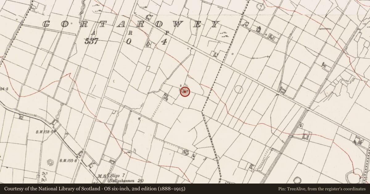 Ordnance Survey six-inch map, 2nd edition (1888–1915) covering the location of Enclosure, Gortarowey, County Sligo, with a pin at the register's coordinates