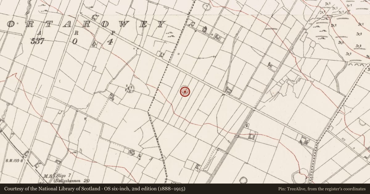 Ordnance Survey six-inch map, 2nd edition (1888–1915) covering the location of Ringfort - cashel, Barnarobin, County Sligo, with a pin at the register's coordinates