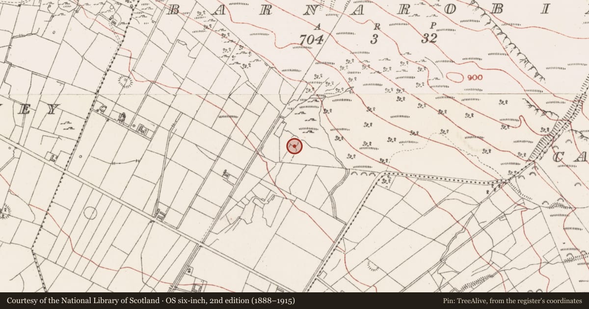 Ordnance Survey six-inch map, 2nd edition (1888–1915) covering the location of Ringfort - cashel, Barnarobin, County Sligo, with a pin at the register's coordinates