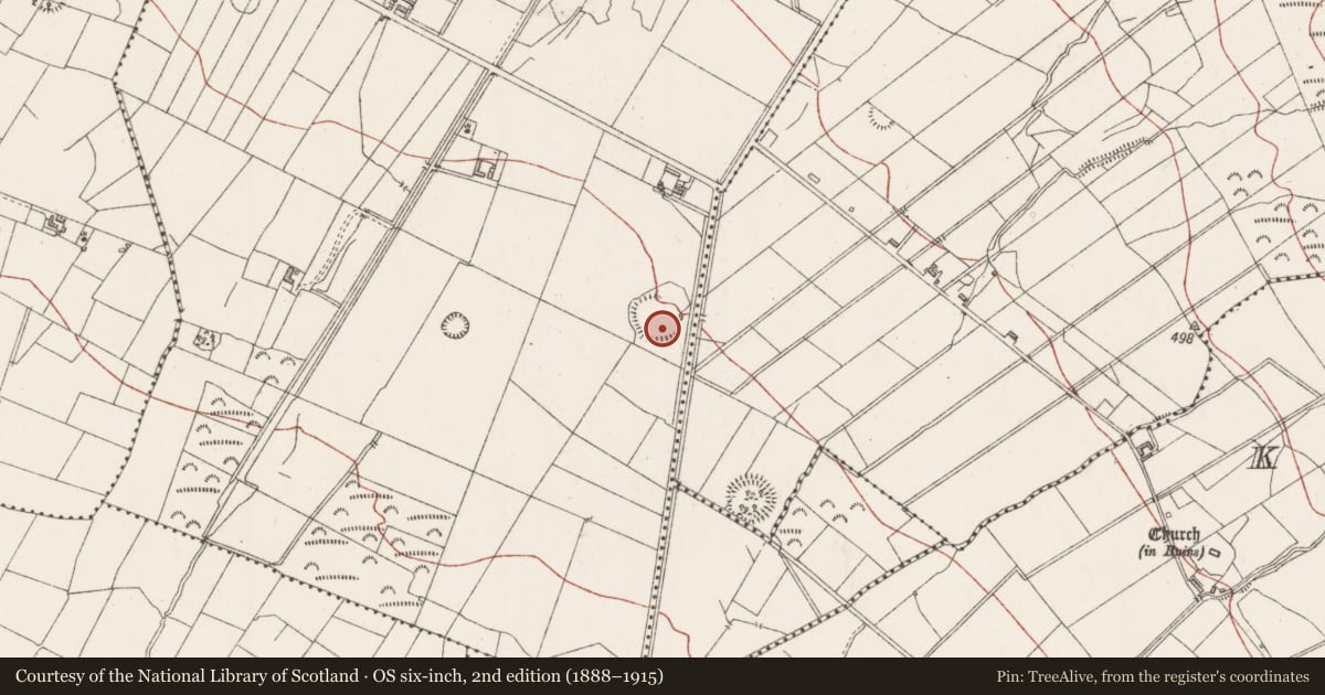 Ordnance Survey six-inch map, 2nd edition (1888–1915) covering the location of Ringfort - rath, Barnarobin, County Sligo, with a pin at the register's coordinates